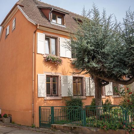 Gite La Grange Eguisheim Esterno foto