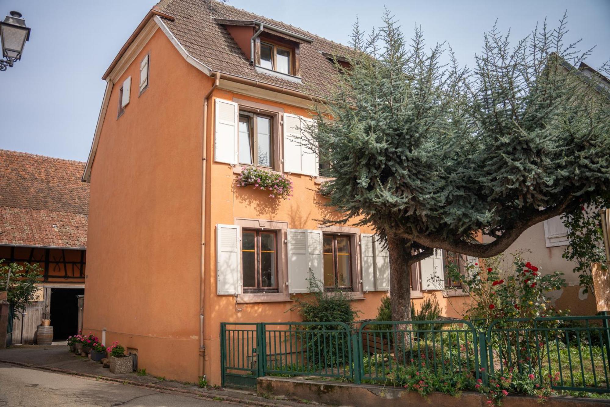 Gite La Grange Eguisheim Esterno foto