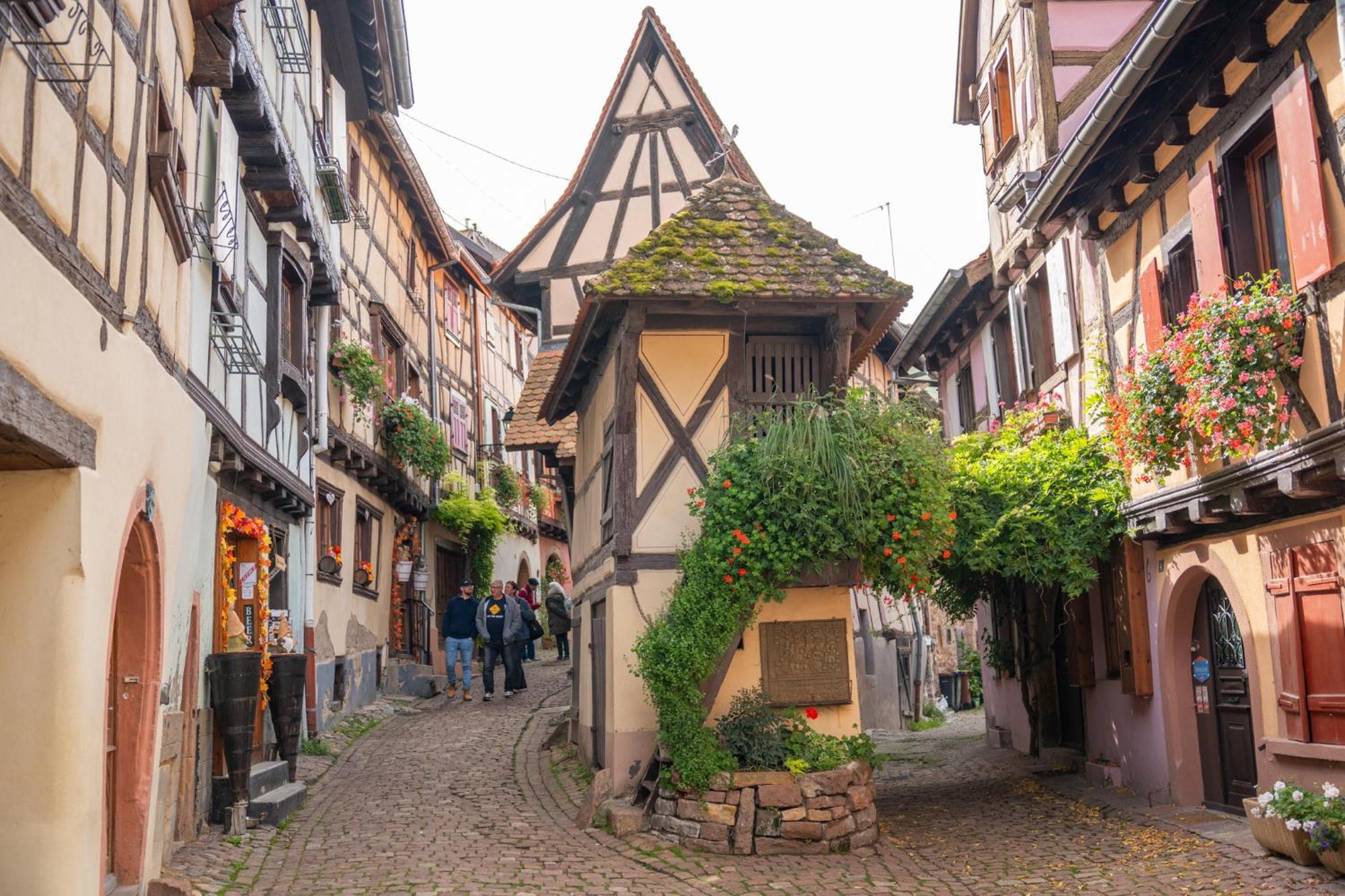 Gite La Grange Eguisheim Esterno foto